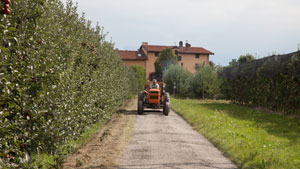 Sepo l'azienda-trattore